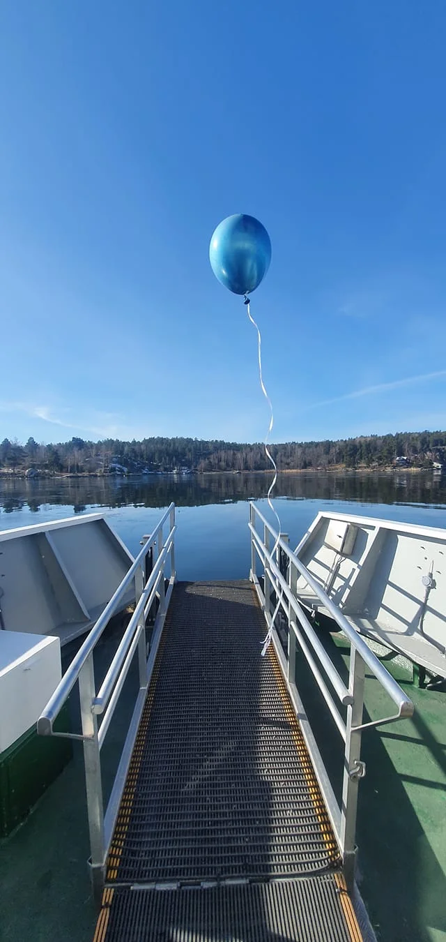 Utsikt över skärgården